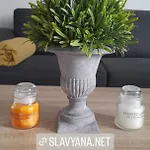 славяна Lägenhet