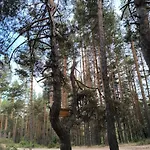 Lägenhet славяна Velingrad