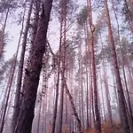 Lägenhet славяна Velingrad