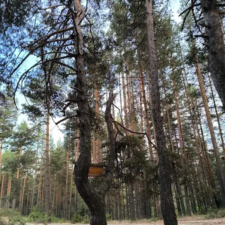 Apartmán славяна Velingrad