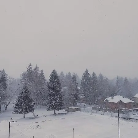 славяна * Velingrad