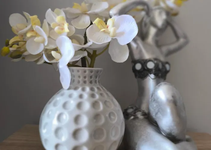 славяна 公寓 *