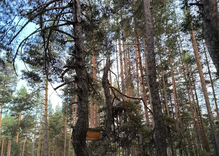 Appartement славяна Velingrad