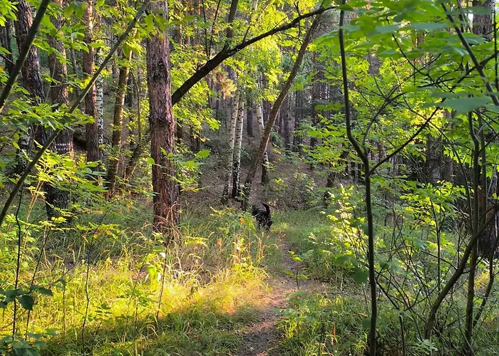 славяна 公寓 韦林格勒