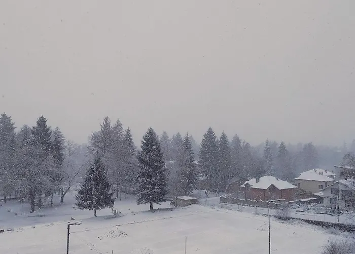 славяна * 韦林格勒