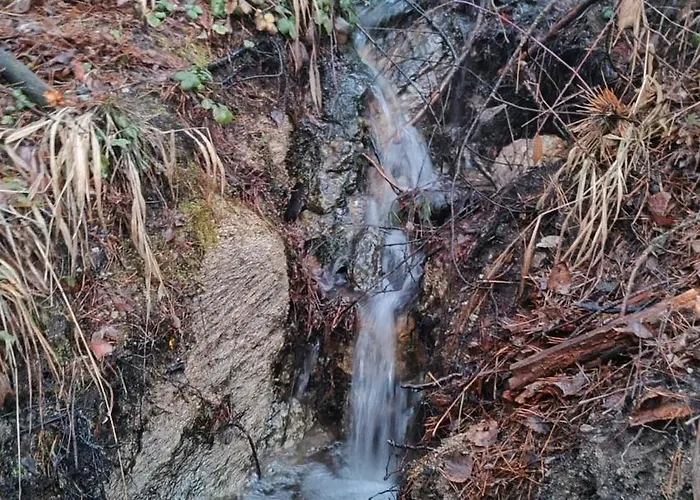 Appartement славяна