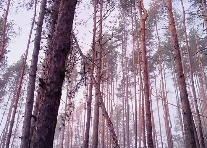 Appartement славяна Velingrad